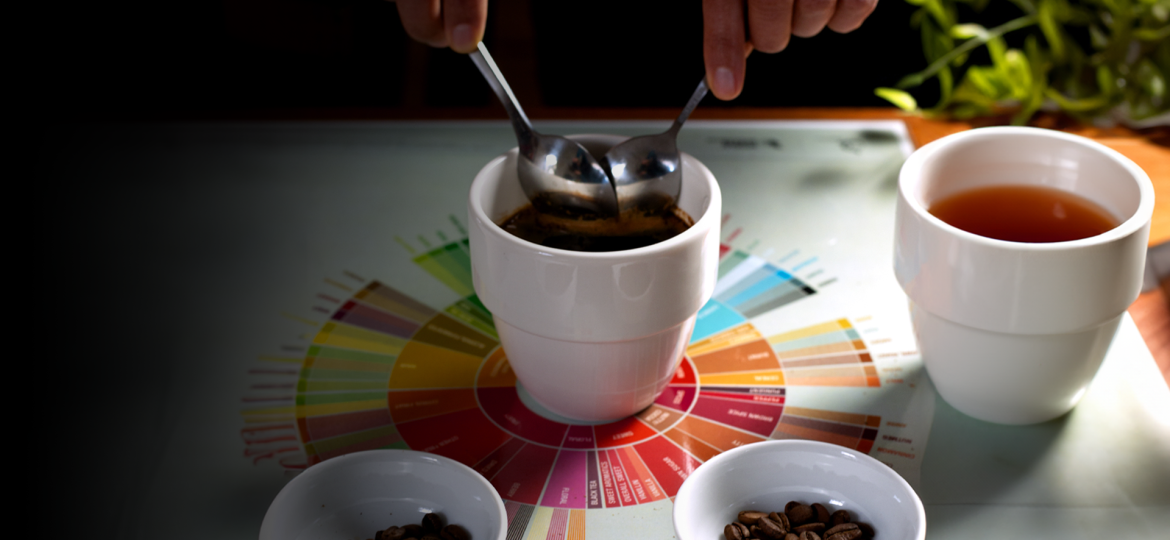 Website-Hero_Specialty-coffee